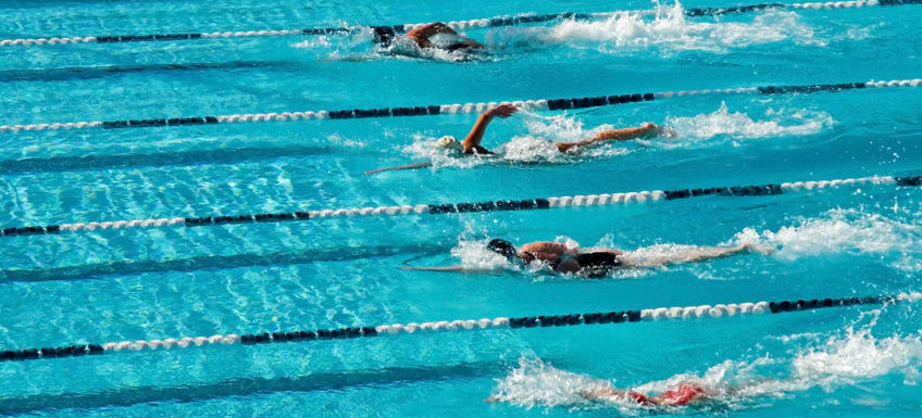 swimmers racing