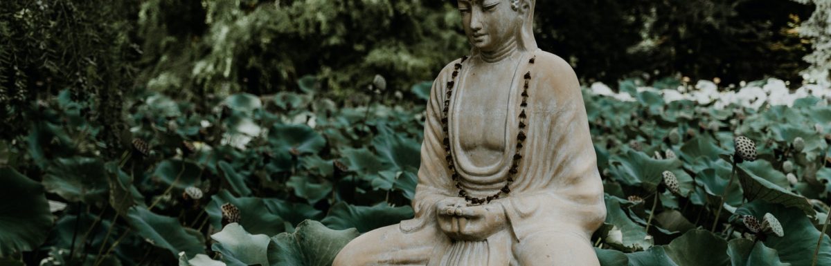 buddha in tranquil garden