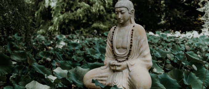 buddha in tranquil garden