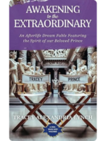 Awakening to the Extraordinary Book